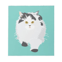 Perzische Kat Kitten