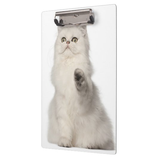 Perzische kat klembord (Links)
