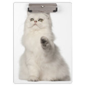 Perzische kat klembord (Voorkant)