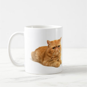 Perzische kat koffiemok