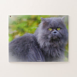 Perzische Kat Legpuzzel