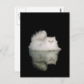 Perzische kat met groene geelogen briefkaart (Voorkant / Achterkant)