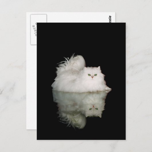 Perzische kat met groene geelogen briefkaart (Voorkant / Achterkant)