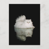 Perzische kat met groene geelogen briefkaart (Voorkant)