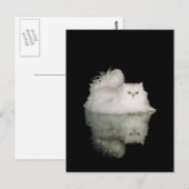 Perzische kat met jade groene ogen briefkaart (Voorkant / Achterkant)