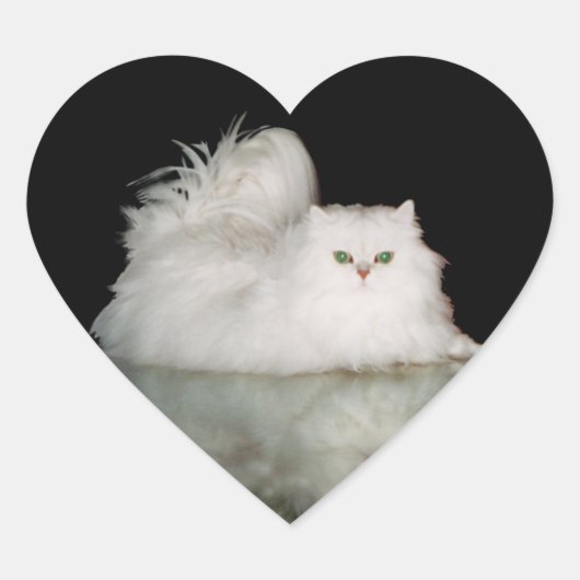 Perzische kat met jade groene ogen hart sticker (Voorkant)