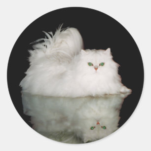 Perzische kat met jade groene ogen ronde sticker