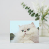 Perzische kat met jade ogen briefkaart (Staand voorkant)
