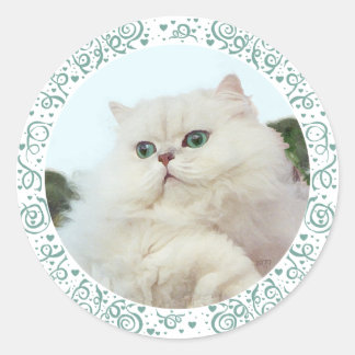 Perzische kat met jade ogen ronde sticker