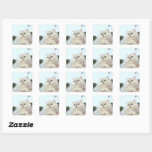 Perzische kat met jade ogen vierkante sticker (Vel)