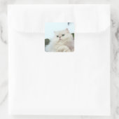 Perzische kat met jade ogen vierkante sticker (Tas)
