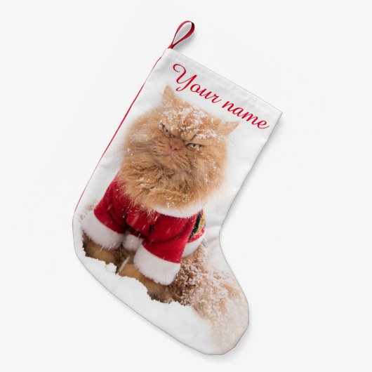 Perzische kat met kerstklep in sneeuw kleine kerstsok (Voorkant (Hangend))