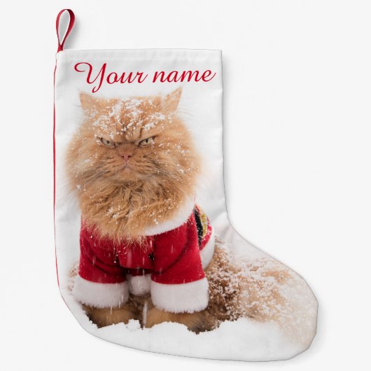 Perzische kat met kerstklep in sneeuw kleine kerstsok (Voorkant)