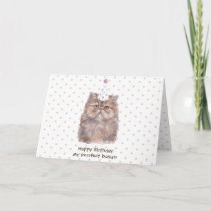 Perzische kat met verjaardagshoed kaart