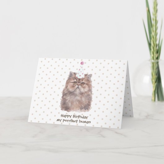Perzische kat met verjaardagshoed kaart (Voorkant)