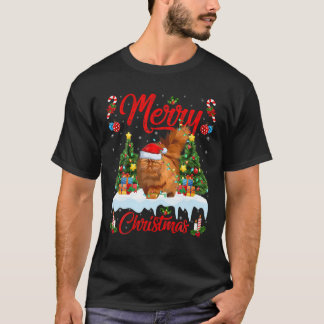 Perzische kat met wielovers voor kerstverlichting  t-shirt