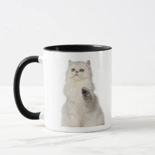 Perzische kat mok