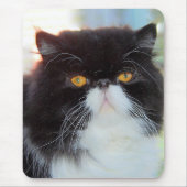 Perzische kat Mousepad Muismat (Voorkant)