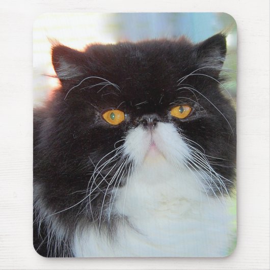 Perzische kat Mousepad Muismat (Voorkant)