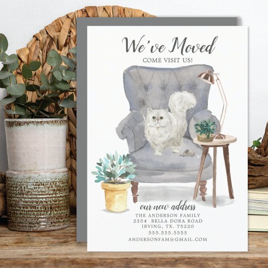 Perzische kat Moving Announge Aankondiging