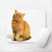 Perzische kat muismat (Met muis)