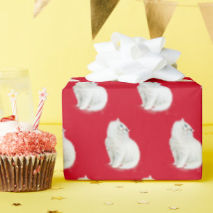Perzische kat op rood cadeaupapier