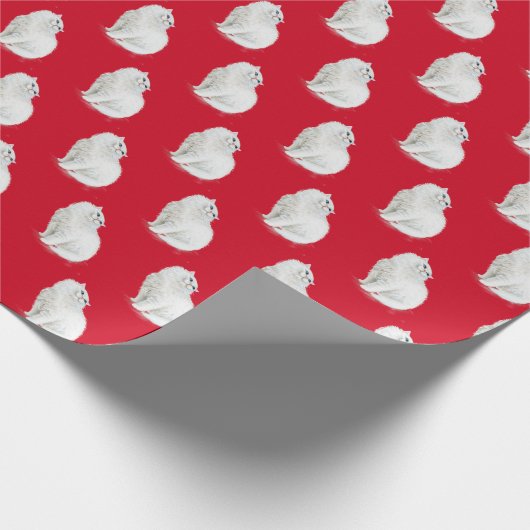 Perzische kat op rood cadeaupapier (Hoek)