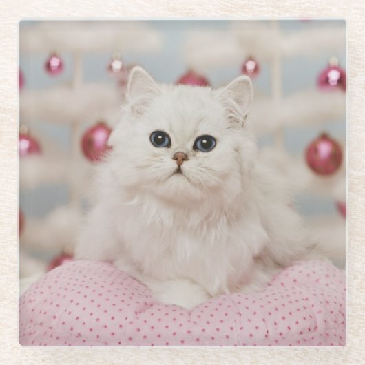 Perzische kat op roze kussen glazen onderzetter (Voorkant)