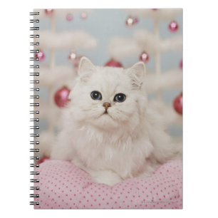 Perzische kat op roze kussen notitieboek