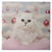 Perzische kat op roze kussen tegeltje (Voorkant)