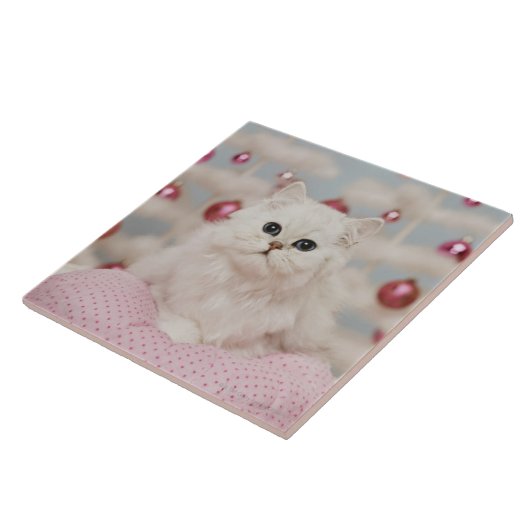 Perzische kat op roze kussen tegeltje (Zijkant)