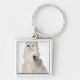 Perzische kat sleutelhanger