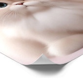 Perzische Kat Speels Kitten Poster (Hoek)