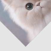 Perzische Kat Speels Kitten Tissuepapier (Detail)