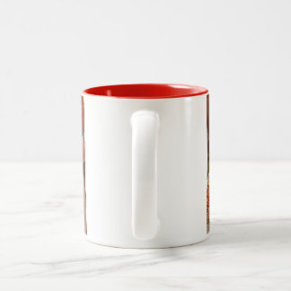 Perzische kat tweekleurige koffiemok