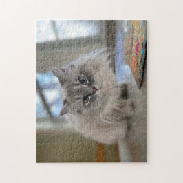 Perzische kat uit de Himalaya Puzzle Legpuzzel