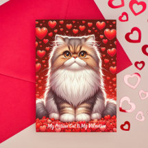 Perzische kat Valentijn Spint