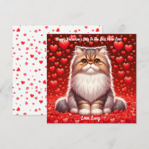 Perzische Kat Valentijn Spinzen