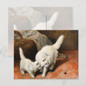 Perzische Kat Vintage Kunst Briefkaart (Voorkant / Achterkant)