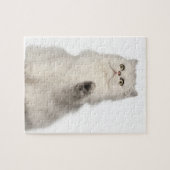 Perzische kat zittend legpuzzel (Horizontaal)