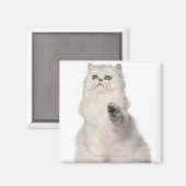 Perzische kat zittend magneet (Voorkant / Achterkant)