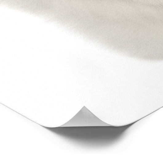 Perzische kat zittend poster (Hoek)