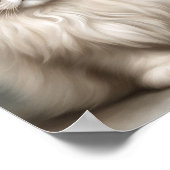 Perzische Kat's Beauty Portret Poster (Hoek)