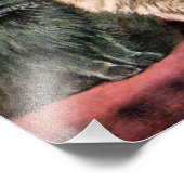 Perzische katten - blauw en crème foto afdruk (Hoek)