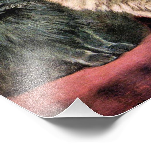 Perzische katten - blauw en crème foto afdruk (Hoek)