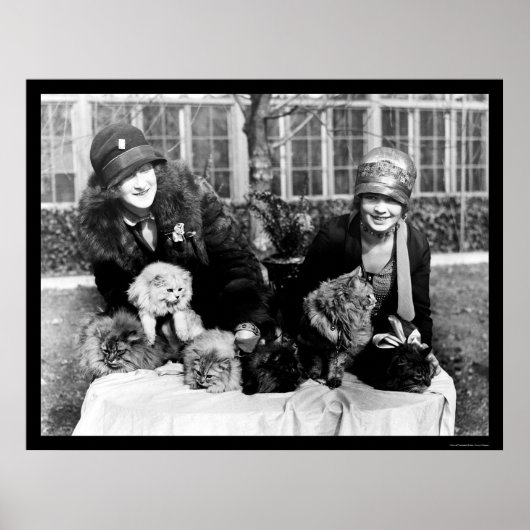 Perzische katten en Amerikaanse dames 1924 Poster (Voorkant)