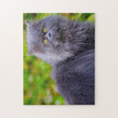 Perzische katten. legpuzzel (Verticaal)