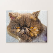 Perzische katten. legpuzzel (Horizontaal)