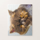 Perzische katten. legpuzzel (Verticaal)