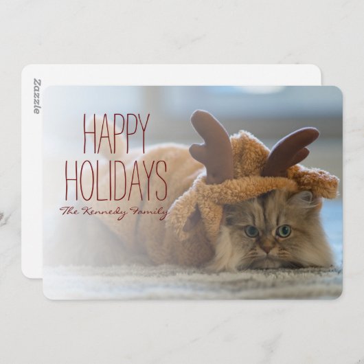 Perzische katten op tapijt bij rendierkostuum feestdagenkaart (Voorkant / Achterkant)